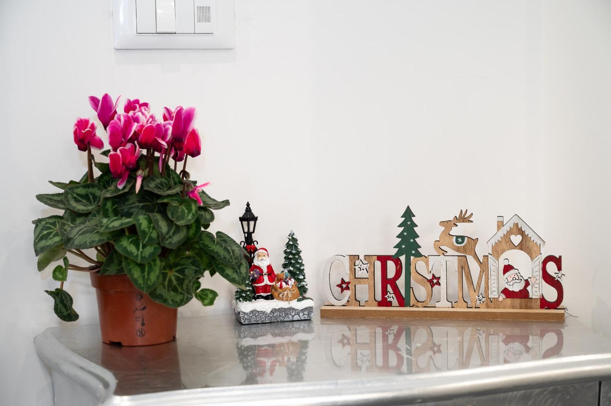 St. Peter Boutique Apt Rome Bagian luar foto
